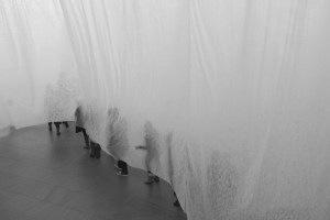 This Week’s “Choose Your Own Prompt” Challenge