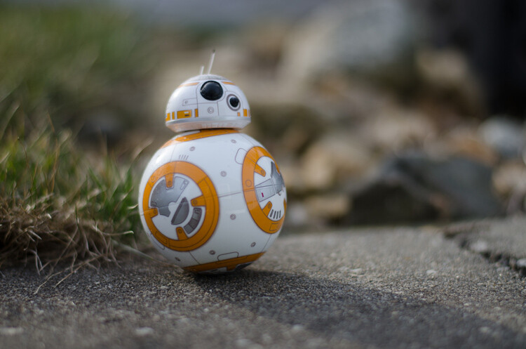 Image: Shot at f/1.8, a very large aperture which has a shallow depth of field. You can see how litt...