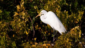 5 Ways to Create More Artistic Photos (Fast!)