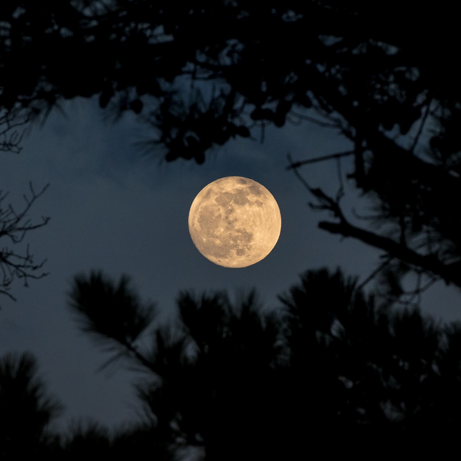 6 Reasons Why Dedicated Cameras are Better than Smartphones for Photography