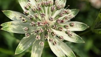 Photography Challenge – Stunning Smartphone Pics