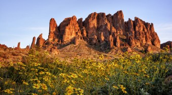 5 Tips for Golden Hour Photography