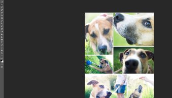 How to Make a Collage in Photoshop (9 Easy Steps!)