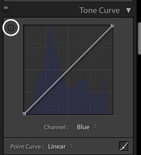 Skin tones Lightroom curves 08