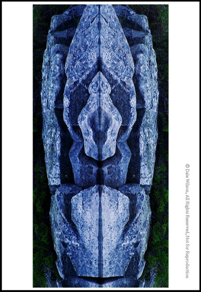 Image: By training our imagination at the same time as our eyes, a whole new world of opportunities...