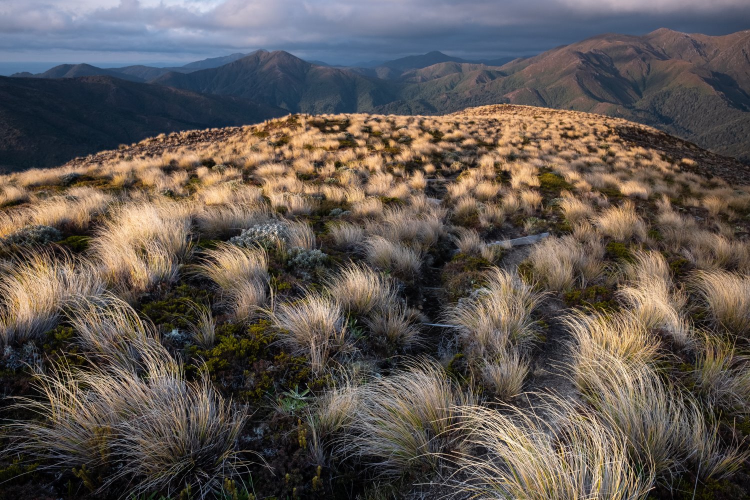 Landscape Photography: A Comprehensive Guide (+ 23 Expert Tips)
