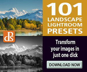 landscape_presets_300x250
