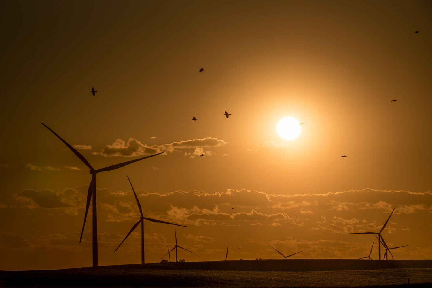 Lightroom Mobile Share Your Edit Feature Sunset Wind Turbines