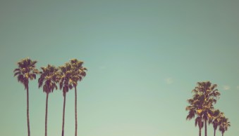 How to Create a Vintage Look in Lightroom (A Hands-On Tutorial)