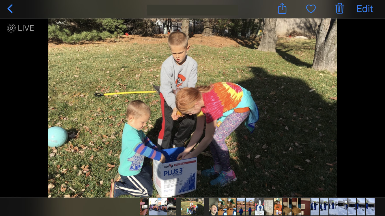kids looking in a box