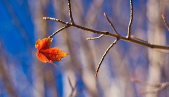 Top 10 Luminar 2018 Features That I Discovered by Accident