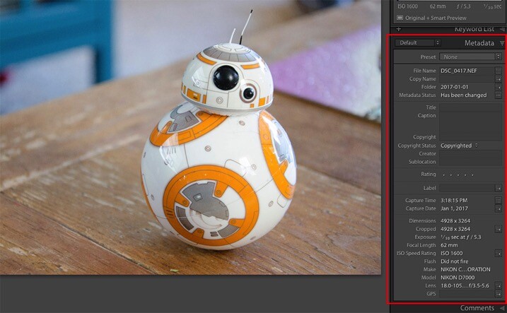 Metadata 2 - The dPS Absolute Beginner&rsquo;s Guide to Photography