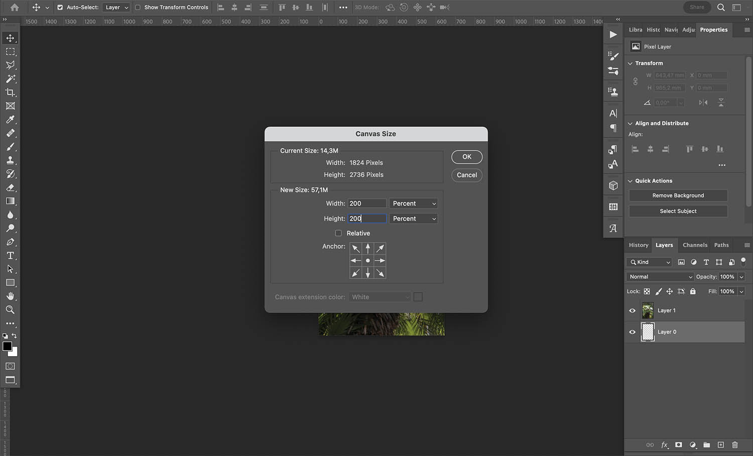 How to mirror an image in Photoshop