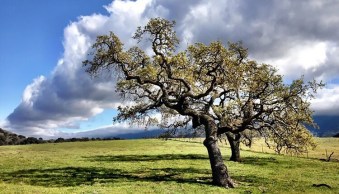 9 of the Best Apps to Help You Do Awesome Mobile Phone Photography