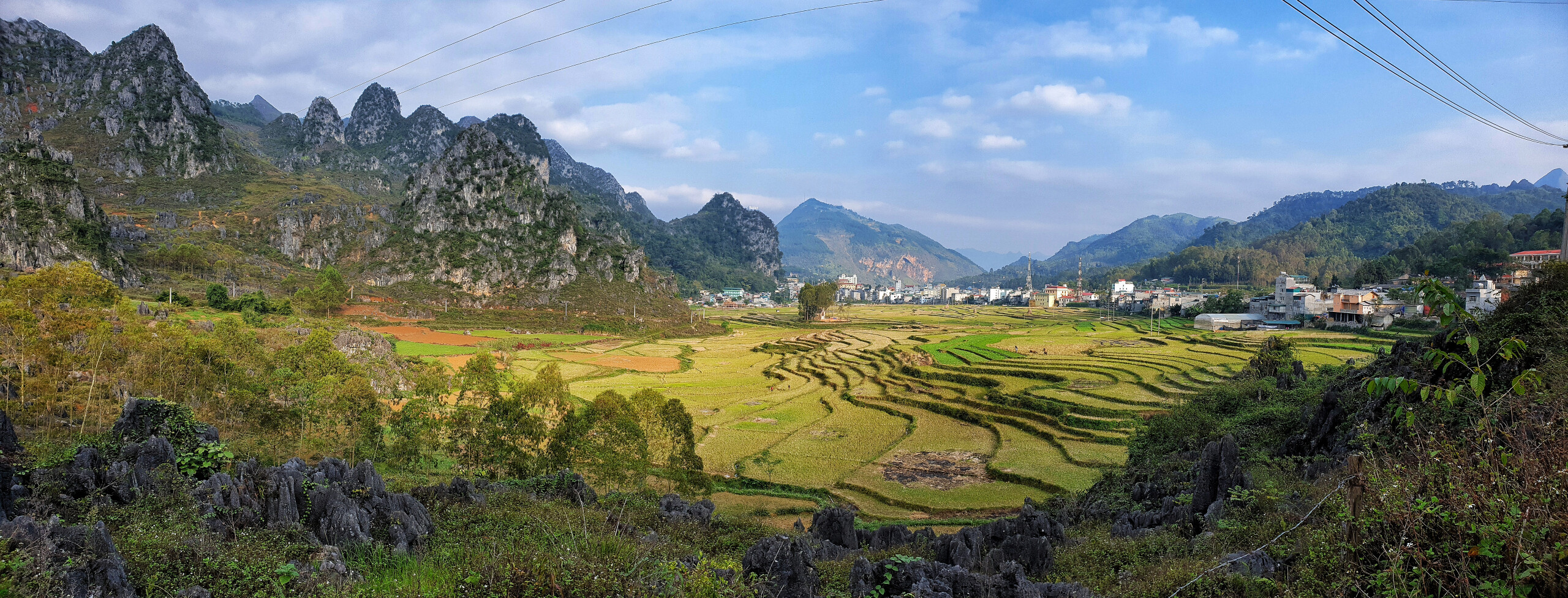 panorama of agricultural area