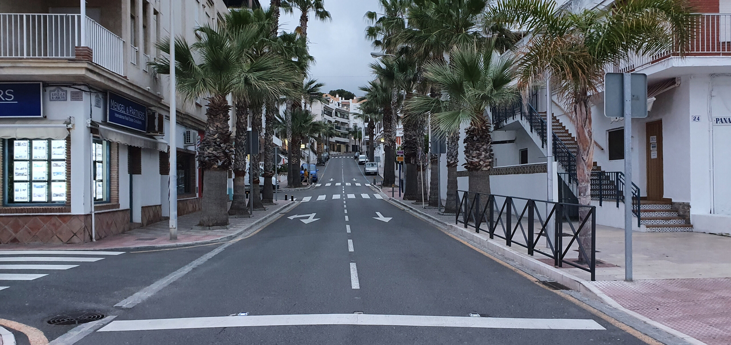 street with palm trees