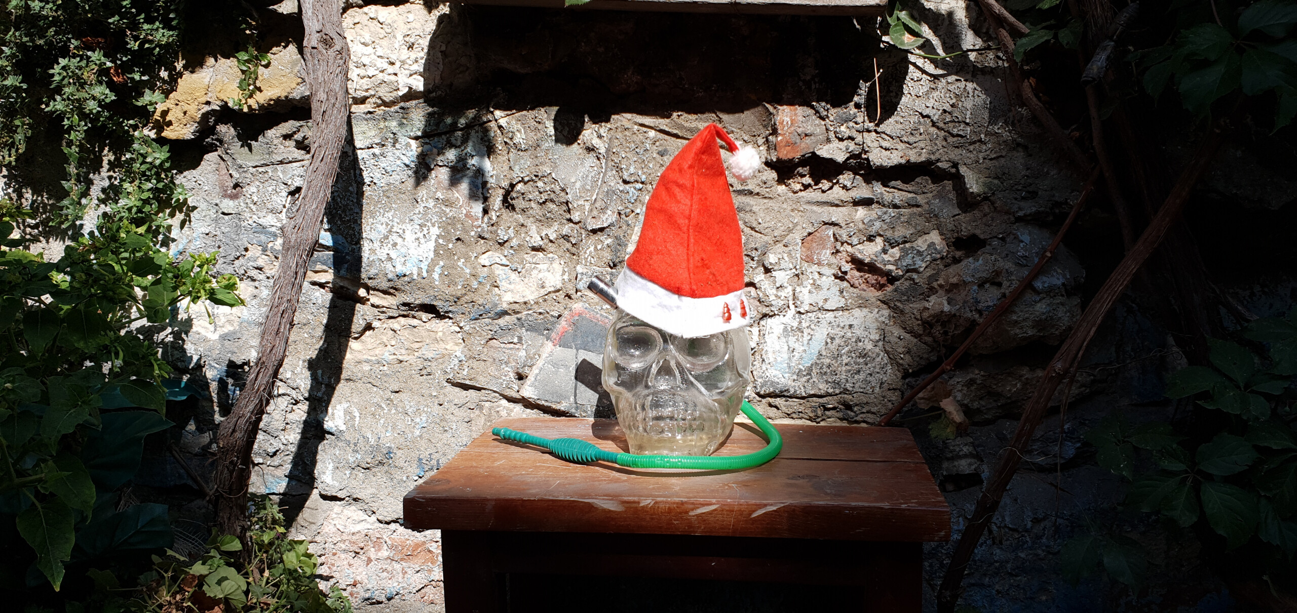 skull with a red hat