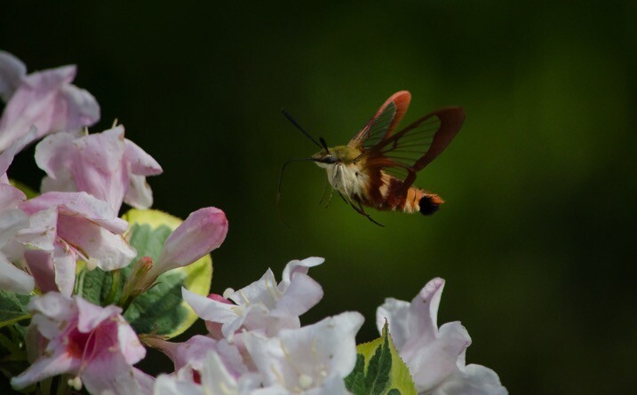 Shutter 1 4000th - The dPS Absolute Beginner&rsquo;s Guide to Photography