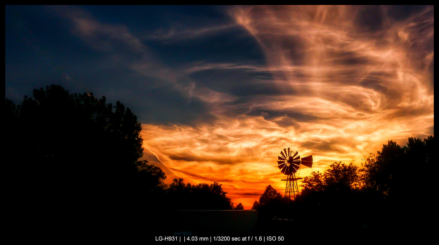 trees and windmill at sunset