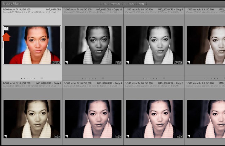Virtual Copies in Lightroom