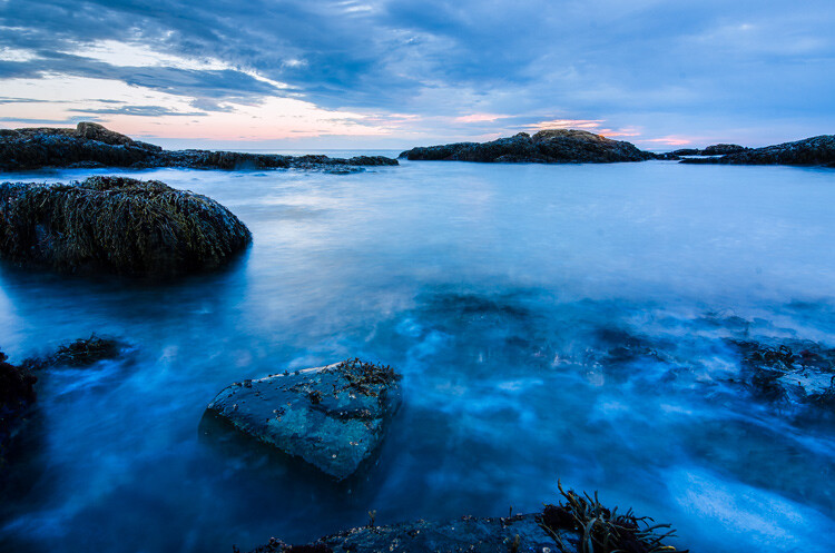 Image: White balance as shot in camera.