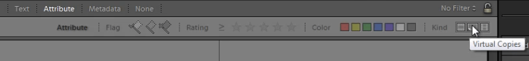 Lightroom Virtual Copies