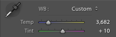 An example of the white balance settings in Lightroom