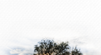 100 Cameras in 1 – iPhone App Review