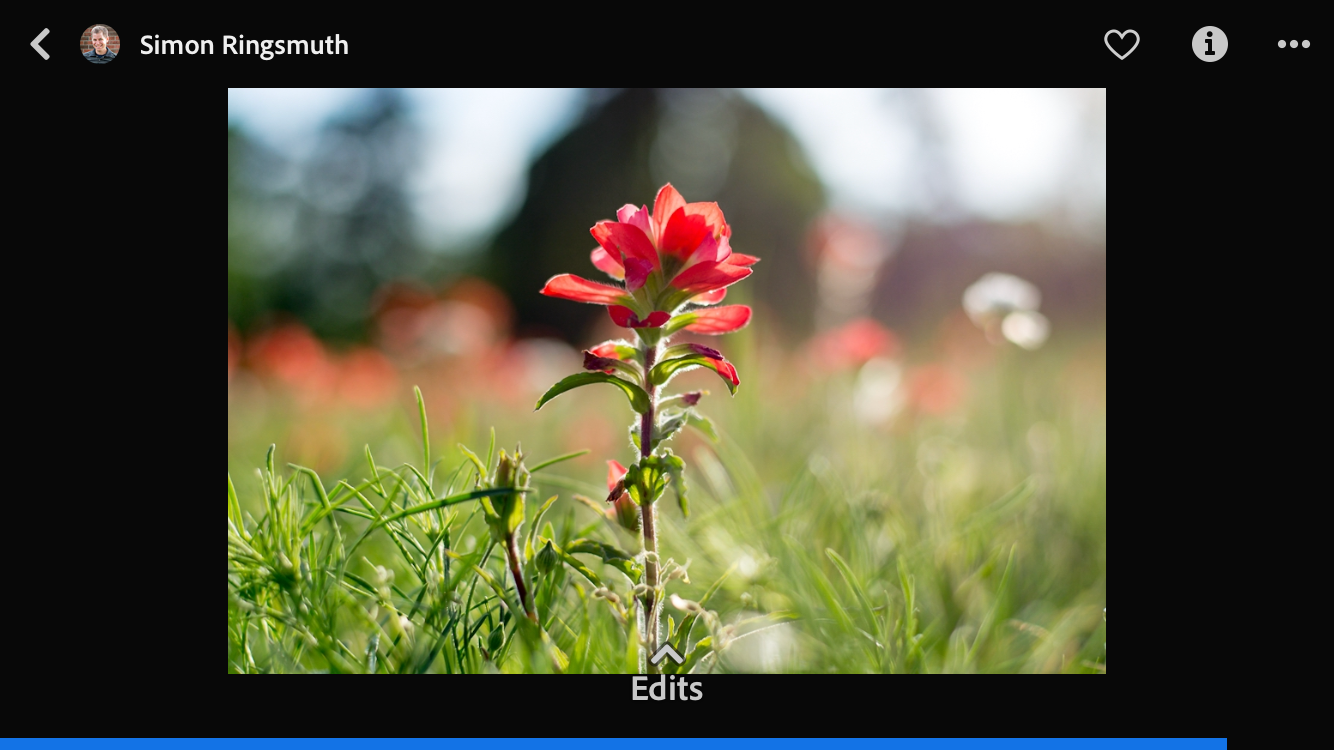 Lightroom Mobile Share Your Edit Feature