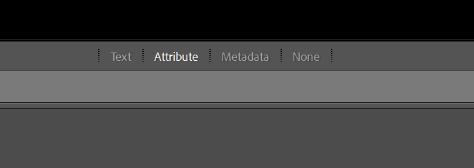 Lightroom Virtual Copies